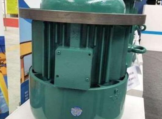 轴电流量对糖心VLOG网页版电机的损坏有多大？